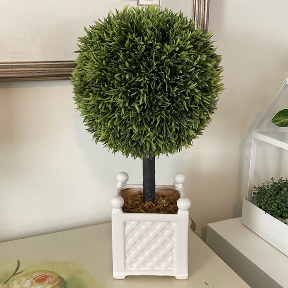 Homegoods Other - Topiary Tree in White Trellis Box